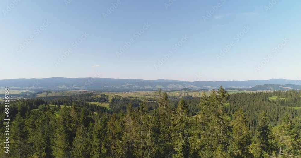 Flying over the beautiful forest trees. Landscape panorama.