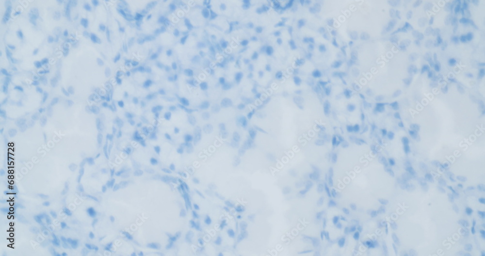 virus structure under a microscope virus structure under a microscope