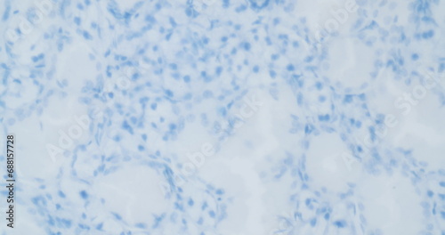 virus structure under a microscope