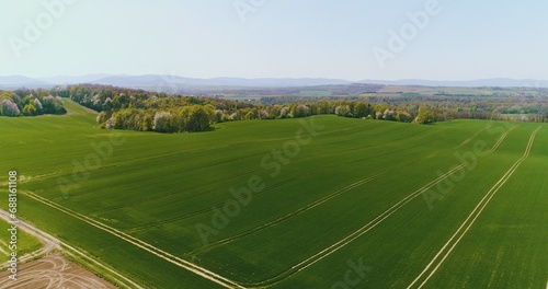 Aerial view of agricultural field.