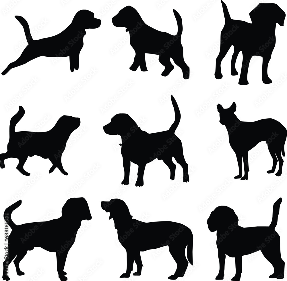 animal, dog, pet, silhouette, vector, puppy, illustration, black, isolated, graphic,