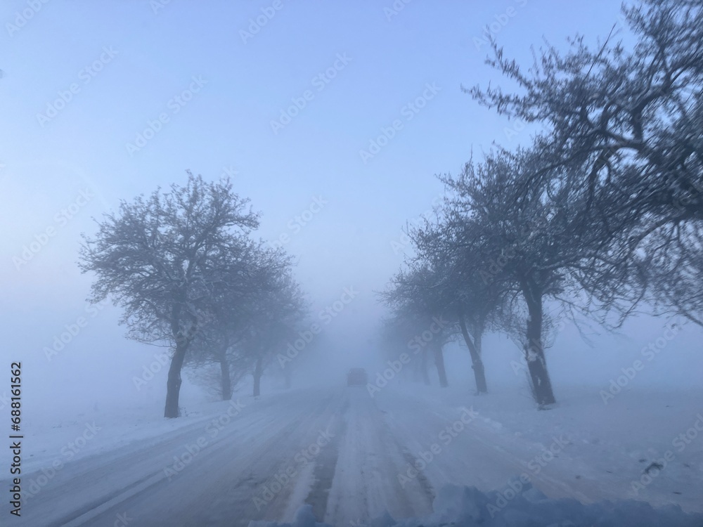 Winter landscape with road and trees covered with snow on a foggy day Winter landscape with road and trees covered with snow on a foggy day