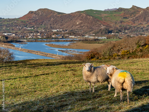 Views around Porthmadog countryside north Wales uk photo
