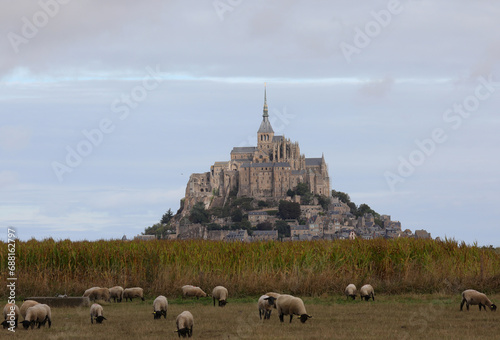 Mont Saint Michel Abbey in Normandy region of Northern France and the flock of black-headed Suffolk sheep