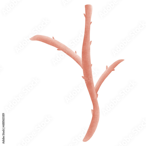 Branch