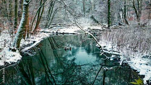  creek , Winterwonderland forest in snow , Sachsenwald, germany photo