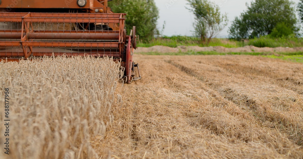 Obraz premium combine harvester harvesting agricultural wheat field
