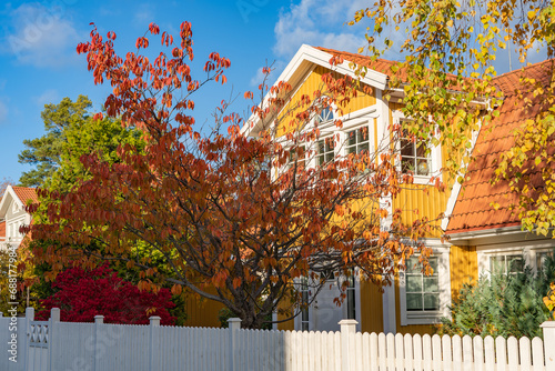 Beautiful old wooden villa in autumn. Colorful leaves trees foliage ornamental plants maples shrubs. Red golden yellow brown colors. Asian garden design in Europe. White wooden fence.