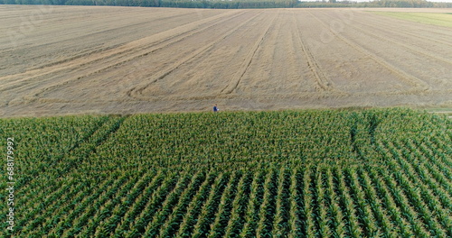 Agriculture Aerial Shot of Corn Field