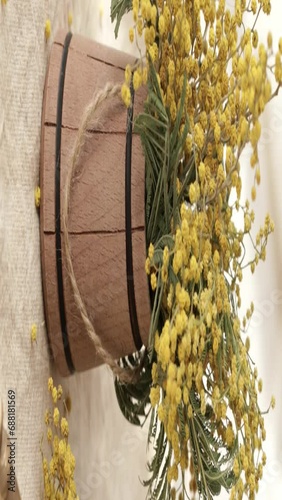 Mimosa plant in a wooden barrel