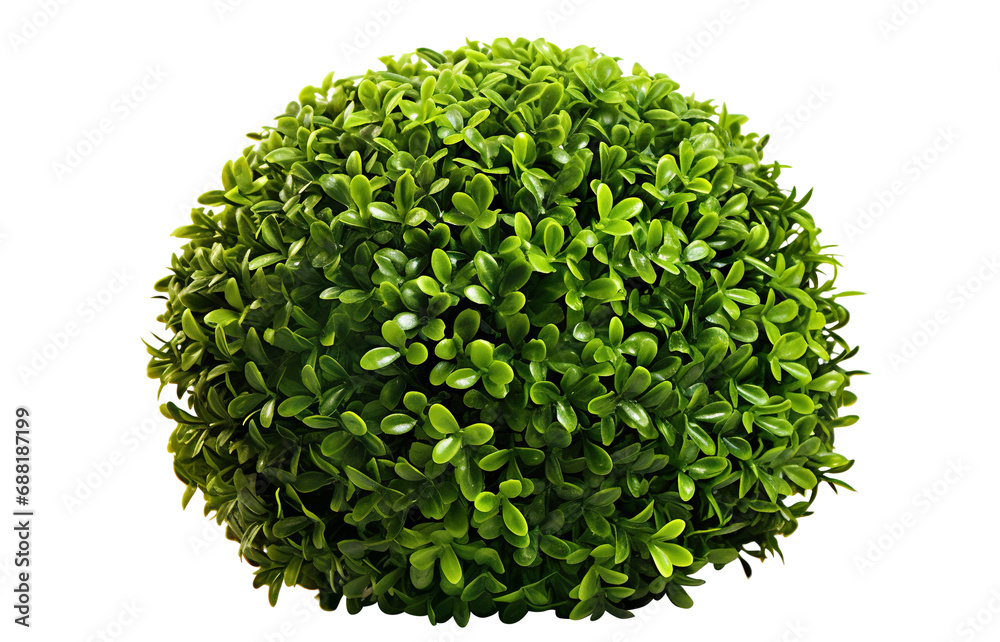 Fototapeta premium Bush with green leaves cut out