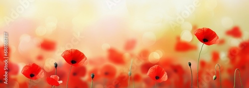 Red poppy flowers banner, Abstract banner background of a field of poppies, field of red poppies © VisionCraft
