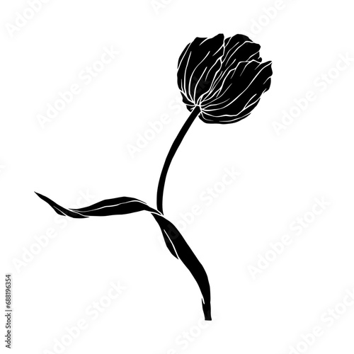 Silhouette of spring tulip flower.Decorative botanical element.Vector graphics.