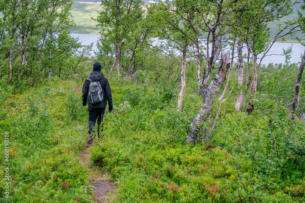 Fototapeta premium Mature woman hiking down over forest free landscape at higher altitude in Norwegian mountains. Healthy lifestyle. Norway, Krutvatnet. Rear view