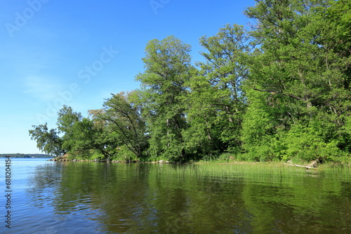 Seascape at one summer lake. Green forest in the background. Mälaren, Stockholm, Sweden, Scandinavia, Europe.