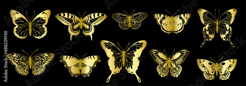 Collection of golden decorative winged insects, butterflies, night moths.Vector graphics.