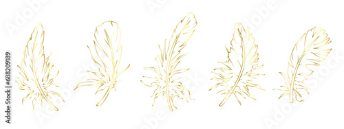 Set of golden linear bird feathers.Vector graphics.