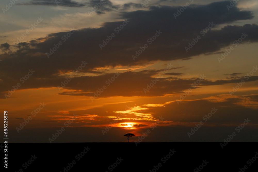 Fototapeta premium A beautiful landscape photo shot in Masai Mara Kenya, the photo also shows vast dramatic sky at sunset