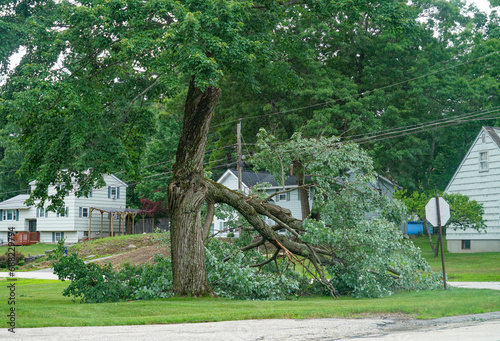 Foto Dangerous fallen tree branch in residential neighborhood caused by storm