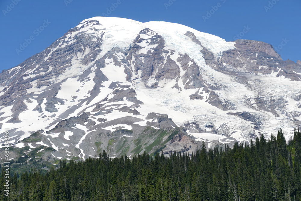 Summit of Mt Rainier rises above conifer forested hills