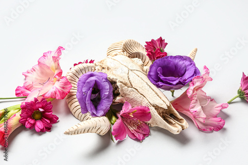 Composition with skull of sheep and beautiful flowers on white background