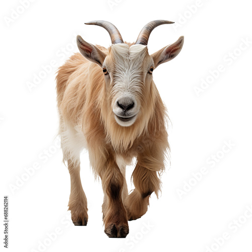 A majestic goatantelope with wild horns gracefully walks through the wilderness, its snout raised in a symbol of untamed freedom among the other wild animals