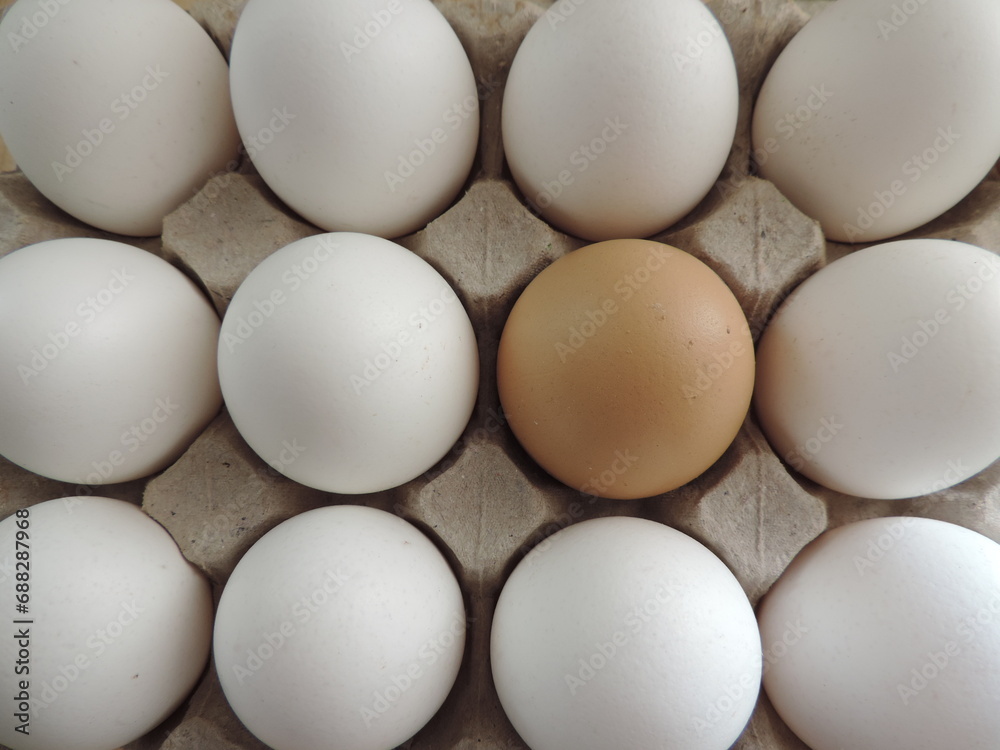 Rejilla de huevos blancos y un huevo rojo Rejilla de huevos blancos y un huevo rojo