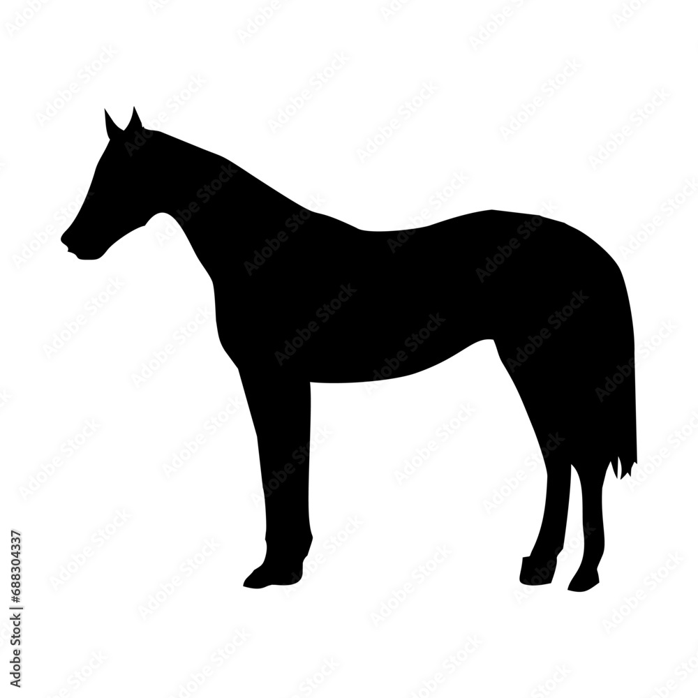 Obraz premium silhouette of a standing horse in black