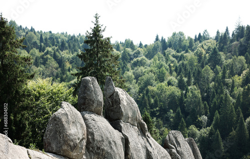 Picturesque view of mountains covered with forest and stones