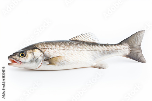 a fish that is laying down on a white surface