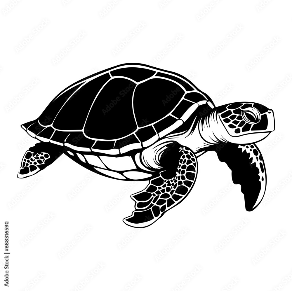 Turtle marine animal icon. Sea turtle silhouette. vector illustration Turtle marine animal icon. Sea turtle silhouette. vector illustration