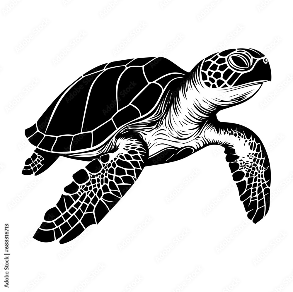Obraz premium Turtle marine animal icon. Sea turtle silhouette. vector illustration