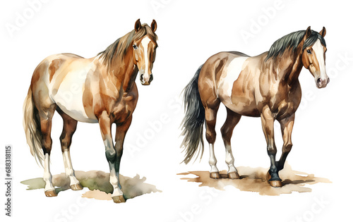 Western horse, watercolor clipart illustration with isolated background