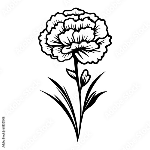Carnation flower graphic black white isolated sketch illustration vector, Generative AI.