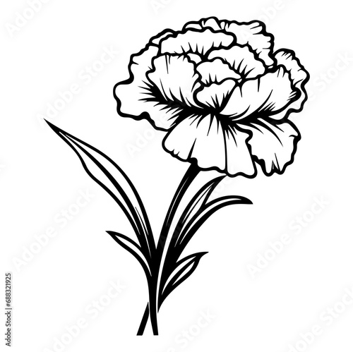 Carnation flower graphic black white isolated sketch illustration vector, Generative AI.