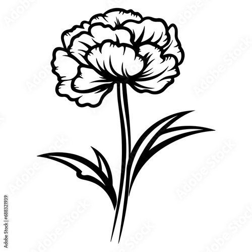 Carnation flower graphic black white isolated sketch illustration vector, Generative AI.