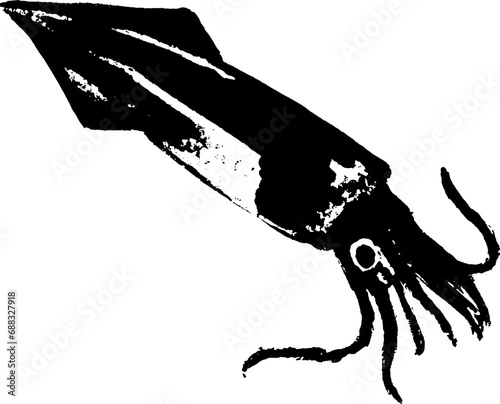 和風なイカの墨絵