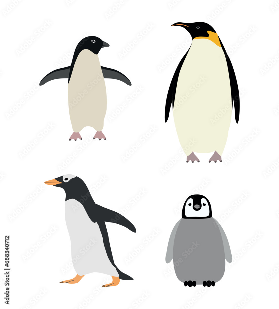Vector set of hand drawn flat penguin isolated on white background