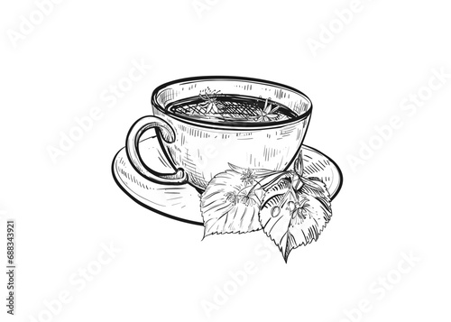 Hand drawn sketch black and white illustration cup of tea linden, leaf, flowers. Vector illustration. Elements in graphic style label, sticker, menu, package. Engraved style.