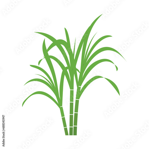 Sugar cane icon photo