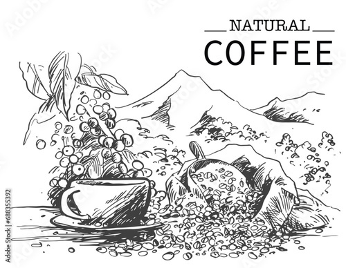 Arabica Robusta Coffee of ink drawing sketch for packaging, label, poster, art print, menu, cover, name card, post card, banner, promotion, brochure