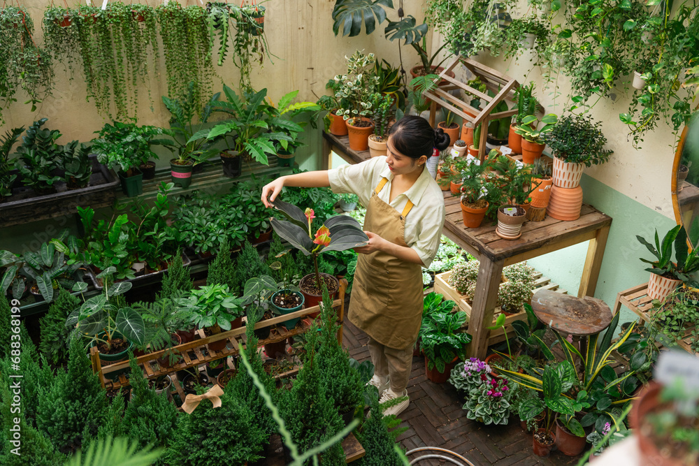Fototapeta premium Portrait of Asian woman working in a plant shop