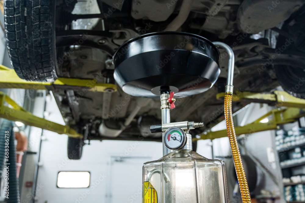 Obraz premium The process of changing the oil in a car engine. Draining old dark used oil from a car on a lift. 