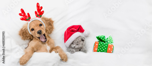 Happy English Cocker spaniel puppy dressed like santa claus reindeer Rudolf lying with cozy kitten and gift box under white blanket at home. Top down view. Empty space for text