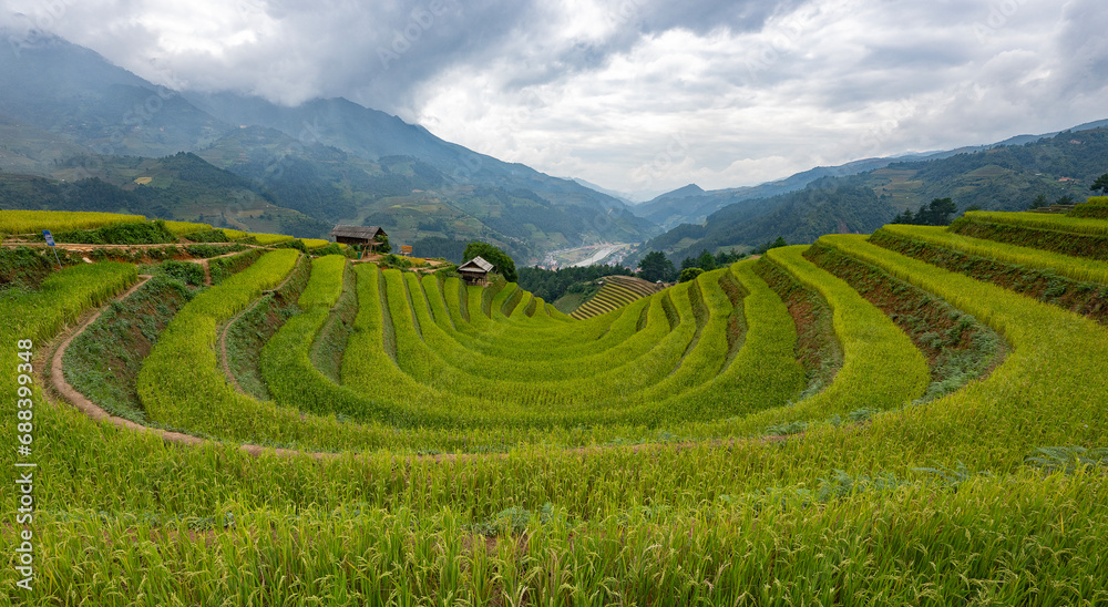 Landscape with green and yellow rice terraced fields and cloudy sky near Yen Bai province, North-Vietnam	