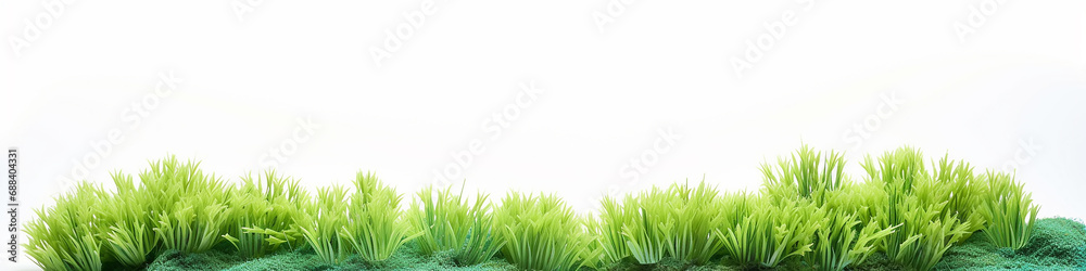 Obraz premium a row of 3d green grass on a white background.