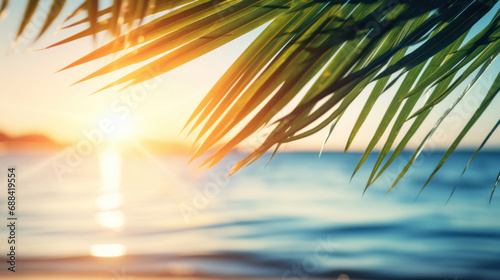 Coconut palm leaf on tropical beach at sunset or sunrise time
