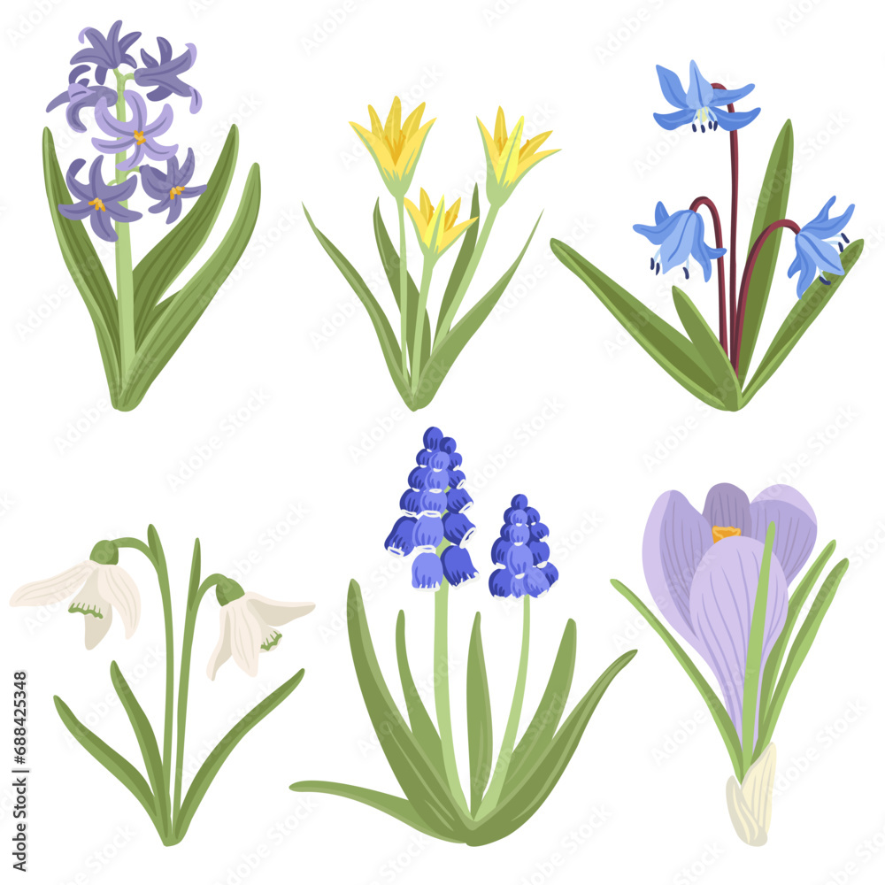 hyacinth, scilla and daffodils, snowdrop, muscari and crocus,, spring flowers, vector drawing wild plants at white background, floral elements, hand drawn botanical illustration - obrazy, fototapety, plakaty 
