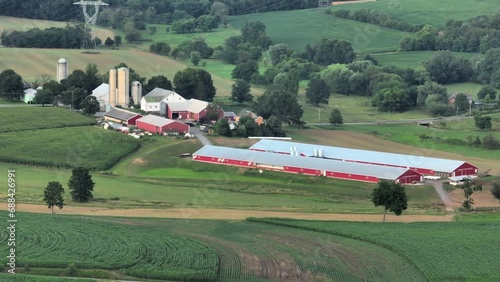 Aerial view of a sprawling farm with multiple red barns and green fields during summer in rural USA. photo