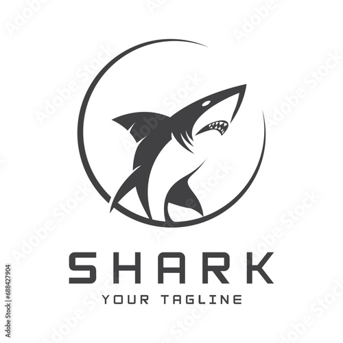 Unique and creative shark logo vector design. Wild Fish Vector Illustration photo